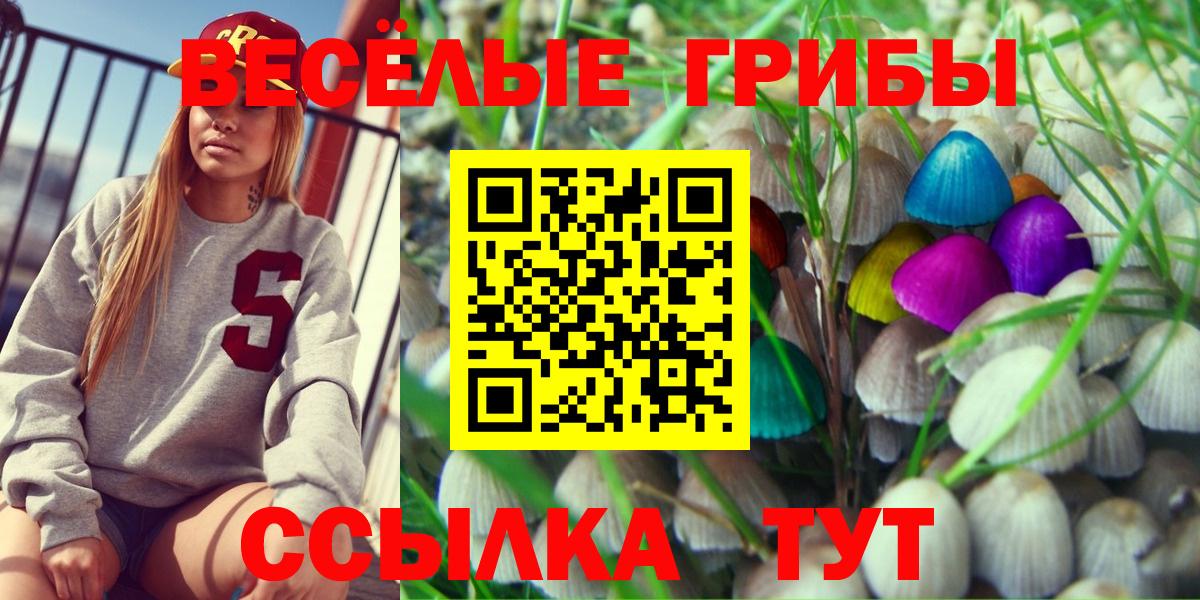 Нягань  Галлюциногенные грибы ЛСД  магазин продажи наркотиков  Вход с VPN 